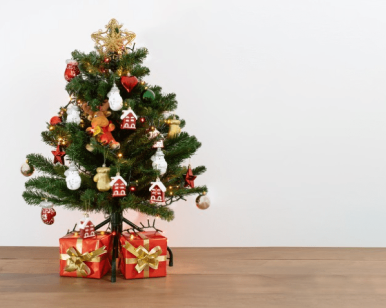 Tips for finding the perfect holiday tree in 2022