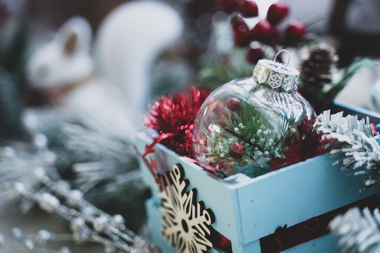 Christmas at a Fruit Forest Photo Shoot Studio in Naples